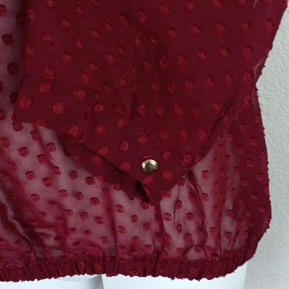 The Limited Women Burgundy Sheer Poka Dot Long Sleeve Top Sz M - Picture 7 of 11